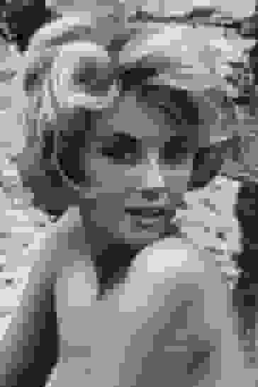 Eve Eden