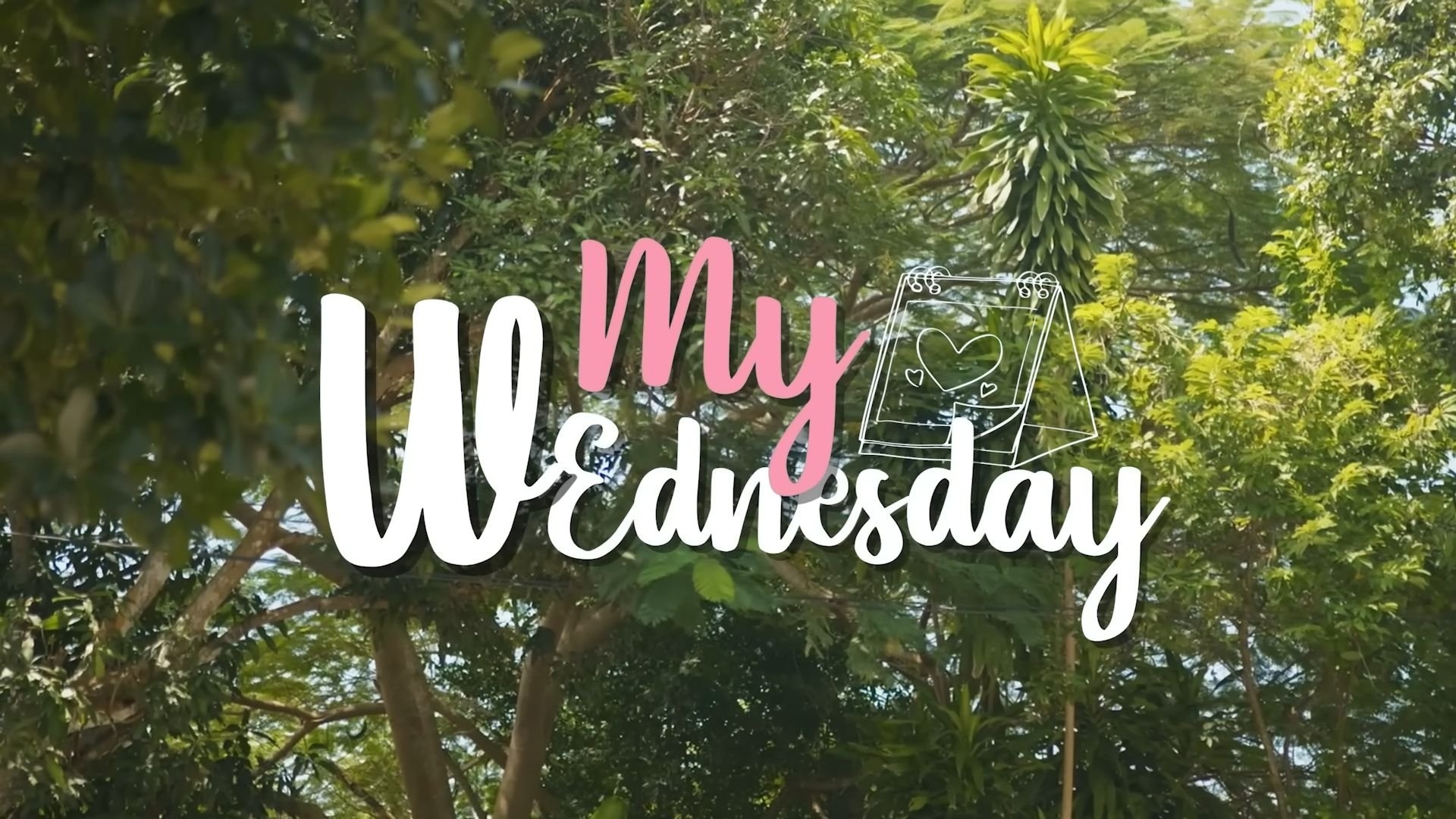 My Wednesday